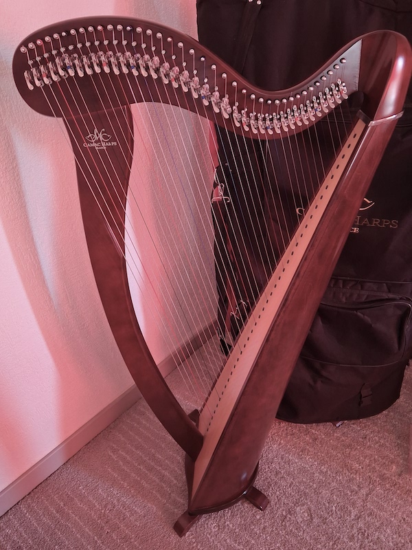 Location harpe celtique Mélusine 38 cordes