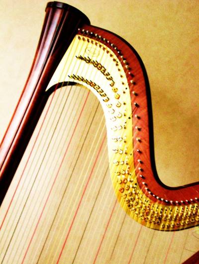 Actualité des cours de harpe et cours collectifs : situation liée au covid 19