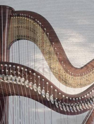 Stage de harpe mai 2023
